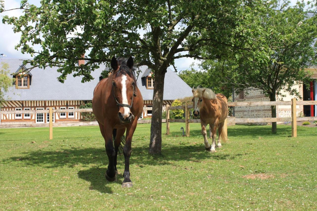 Le Clos Marie Sausseuzemare-en-Caux Esterno foto